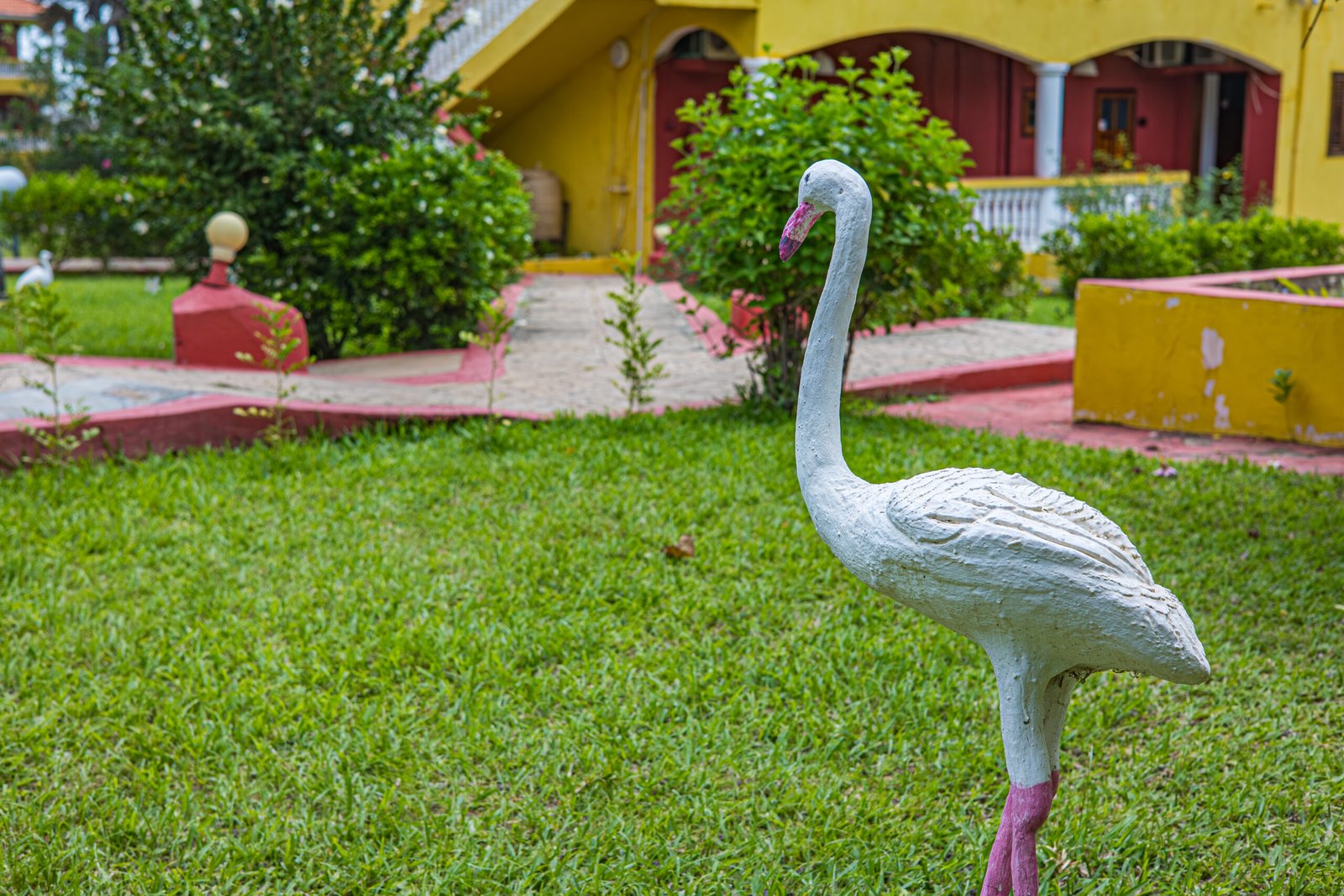 01 General area -Lemon Creek (47 of 56)